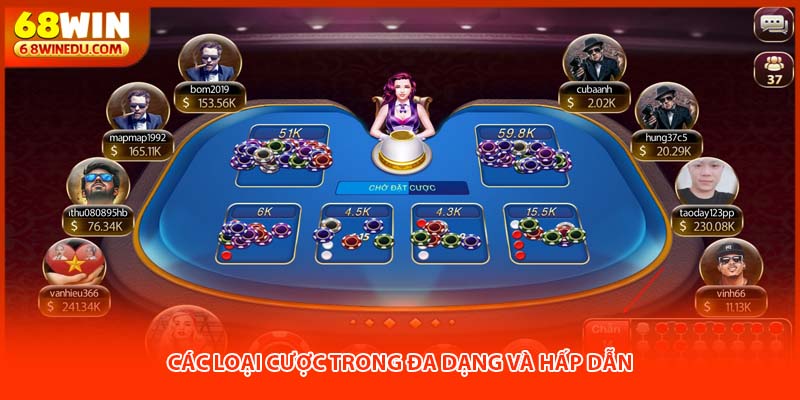 Các loại cược trong đa dạng và hấp dẫn